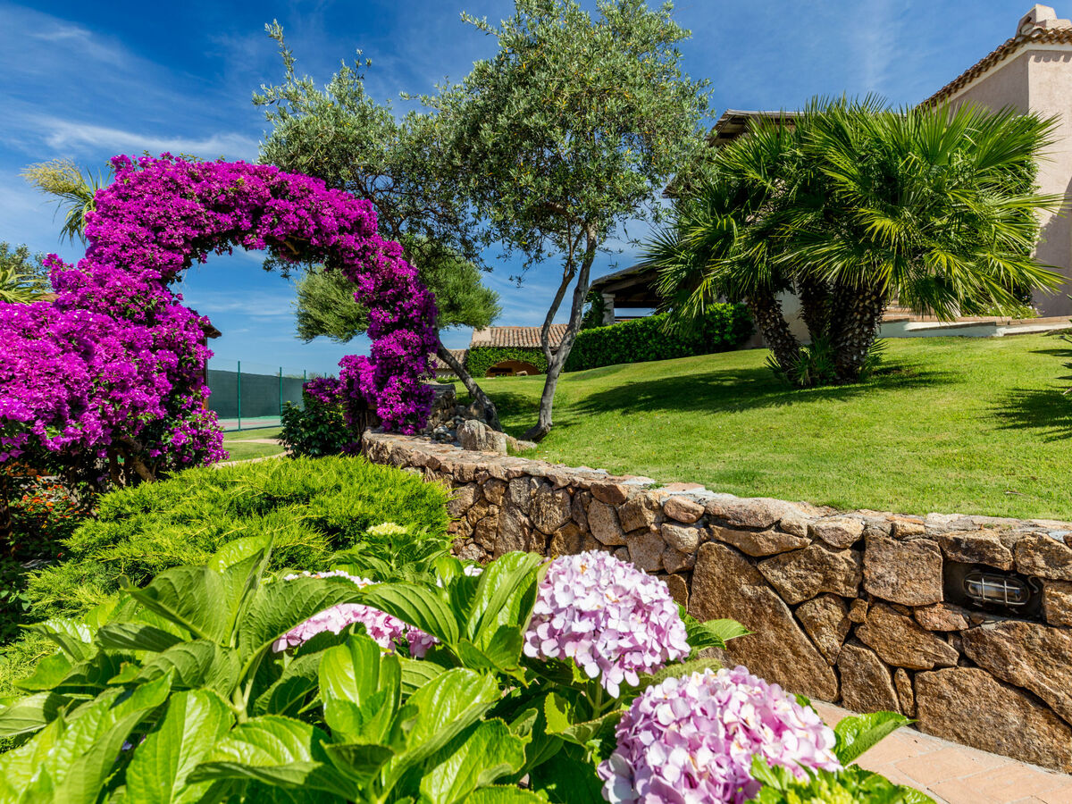 Bougainville 5 - Vista Village, maison 35 m² - Photo 4