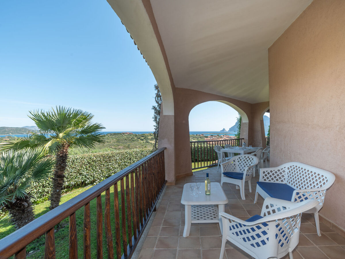 Corbezzolo 8 - Maison 6 pers. vue mer, piscine - Photo 20