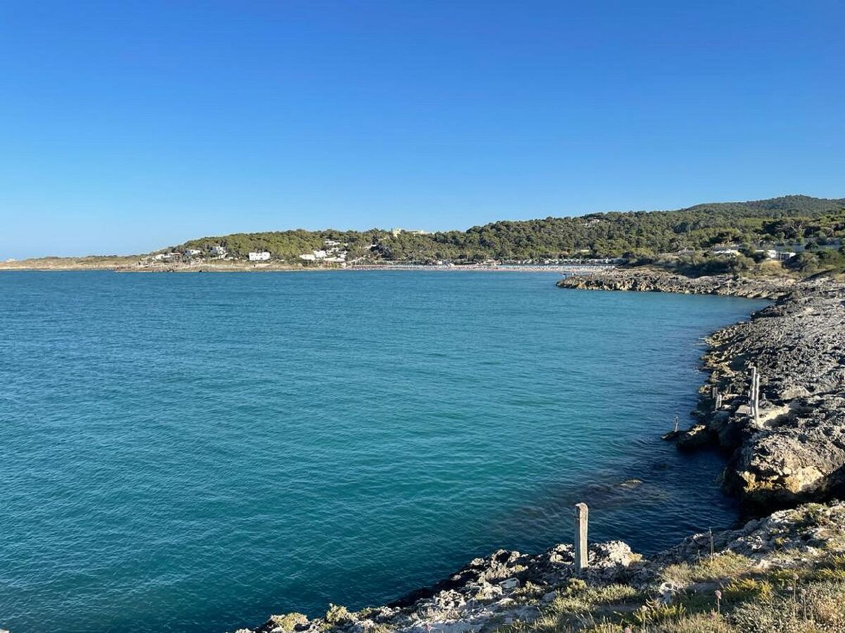 Internazionale Manacore – Maison 5 pers. à Peschici - Photo 30