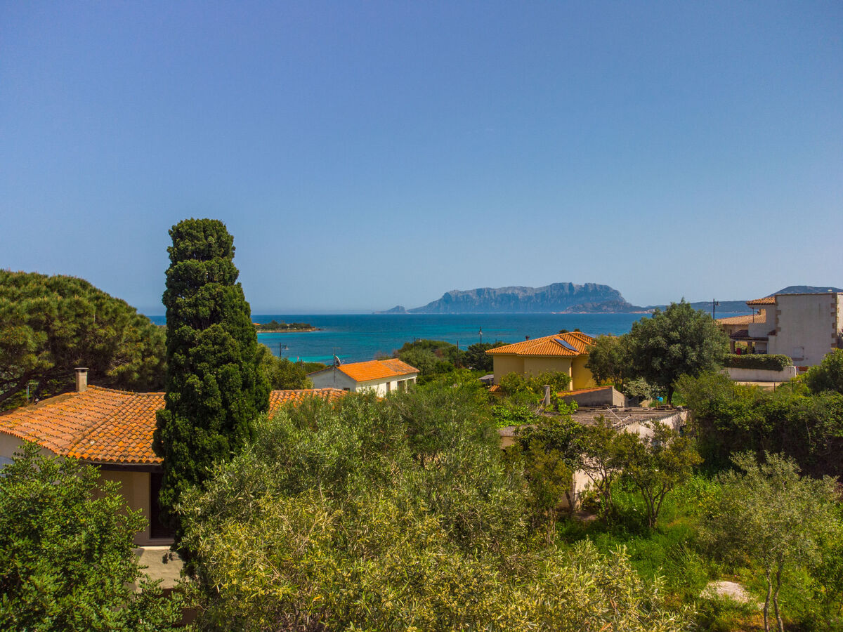 Maison Pellicano à 60 m de la plage, Pittulongu - Photo 26