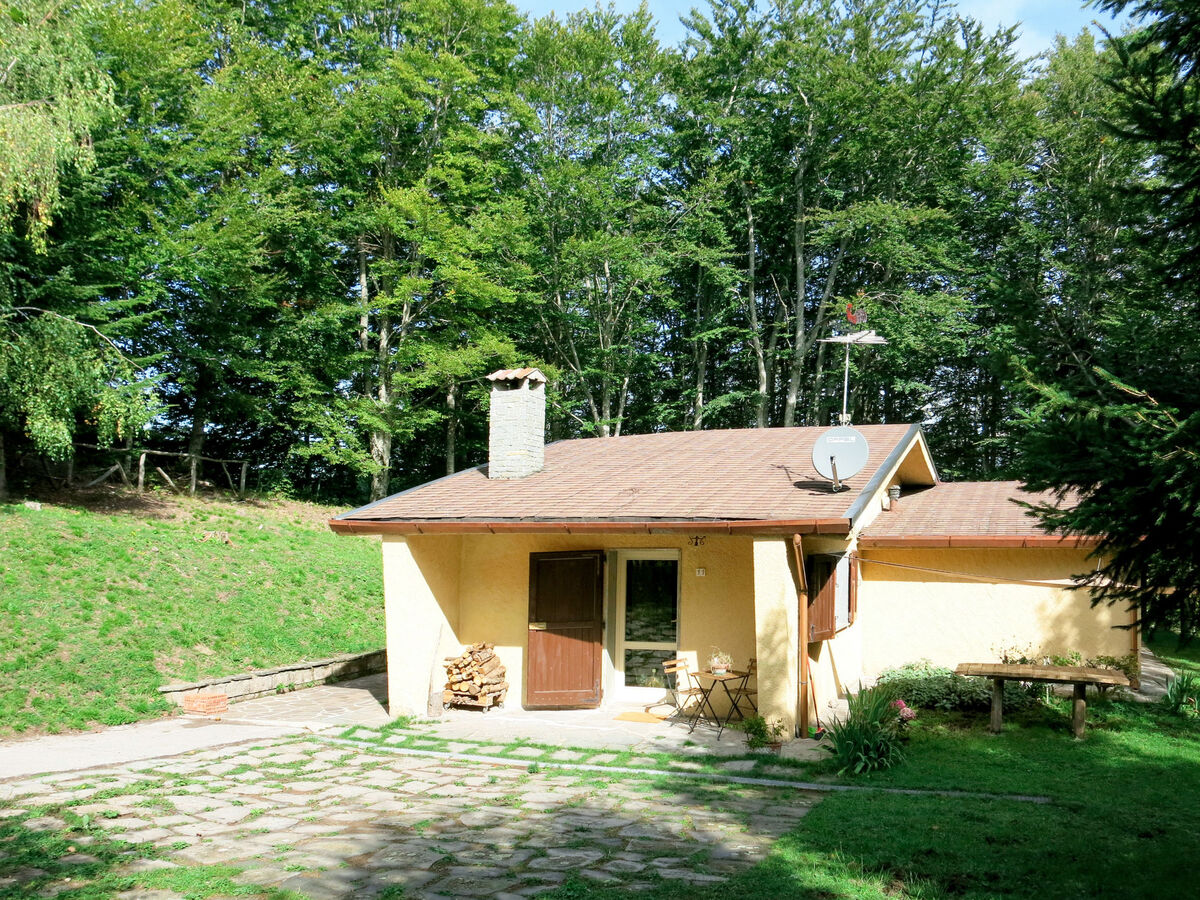 Al Faggio, maison rustique 6 pers. à Sillano - Photo 1