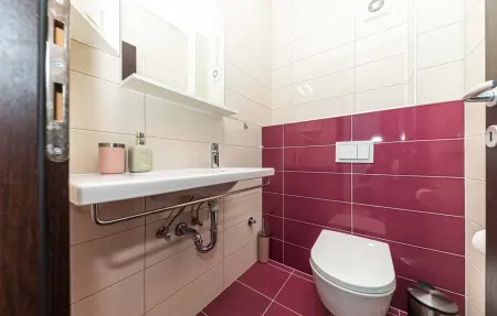 Maison 10 personnes à Seget Donji - Photo 35