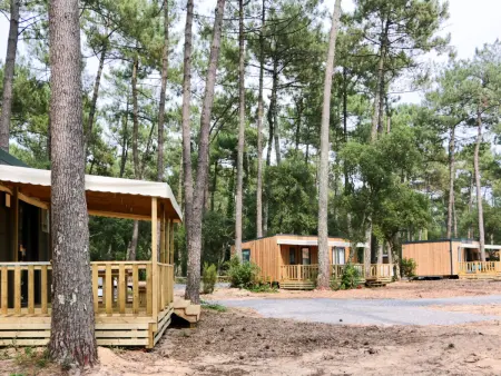 Premium Cocoon, Location Maison 4 personnes à Ondres - Photo 19