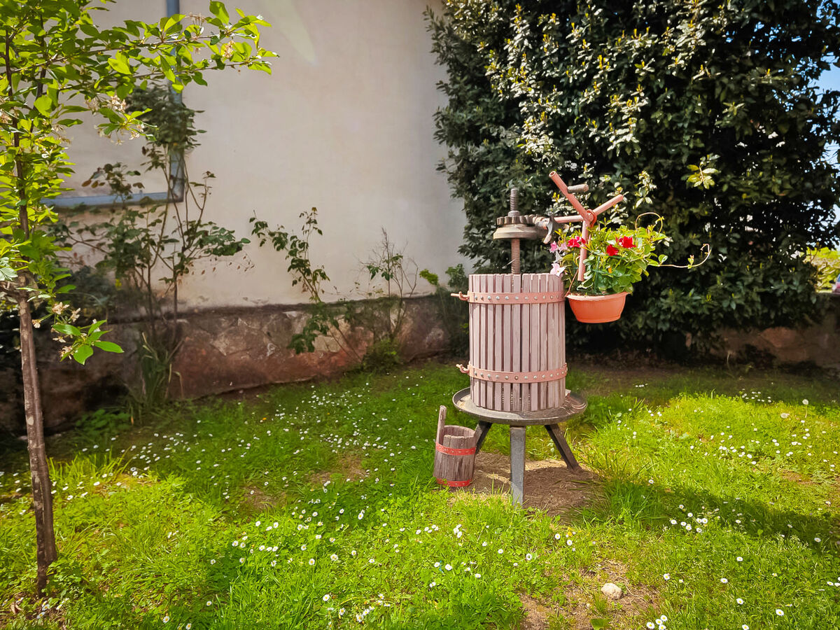 Maison studio Lišera à Rovinjsko Selo, 4,5 km de la mer - Photo 12