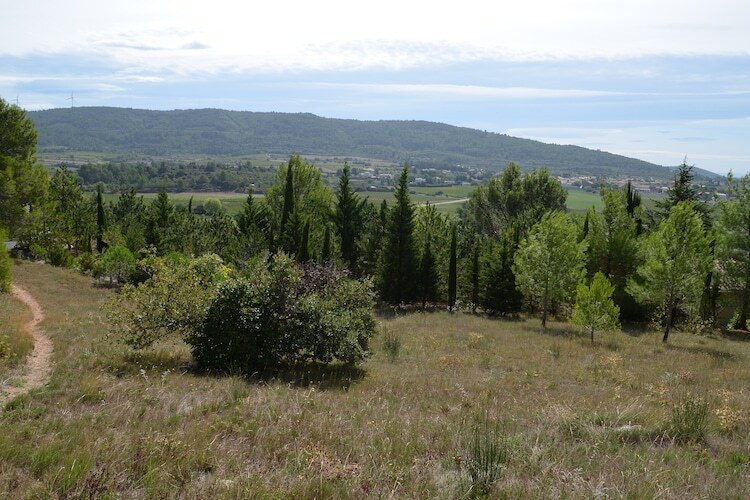 Villa La Garrigue - 3 chambres, vue sur Oupia à Beaufort - Photo 21