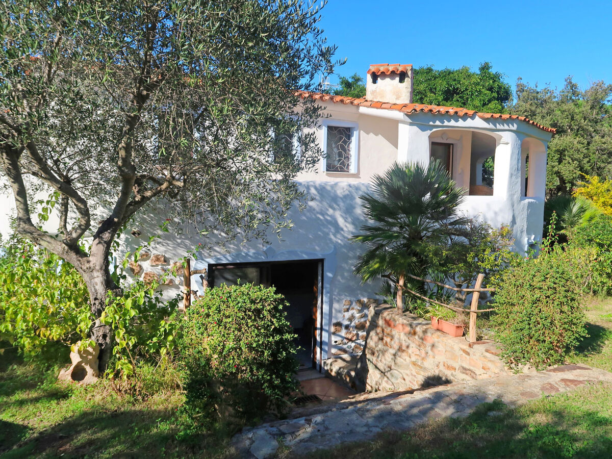 Maison Omer à San Teodoro, piscine et jardin - Photo 44