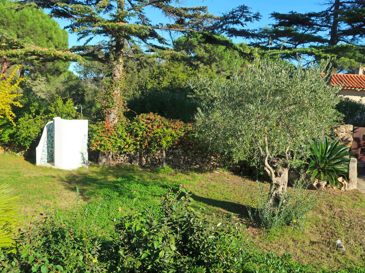 Maison Omer à San Teodoro, piscine et jardin - Photo 45