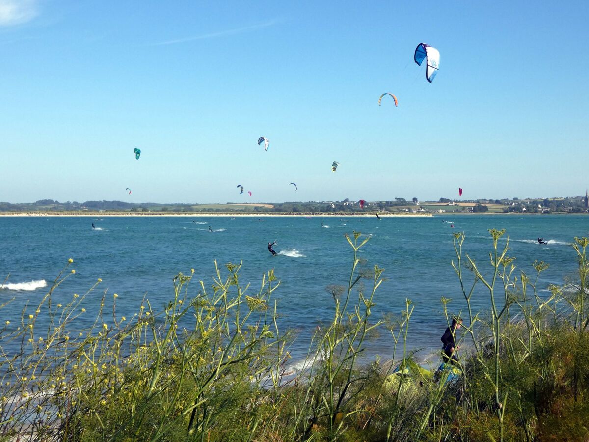 Les Dunes – Maison moderne 6 pers., 200 m de la mer - Photo 30