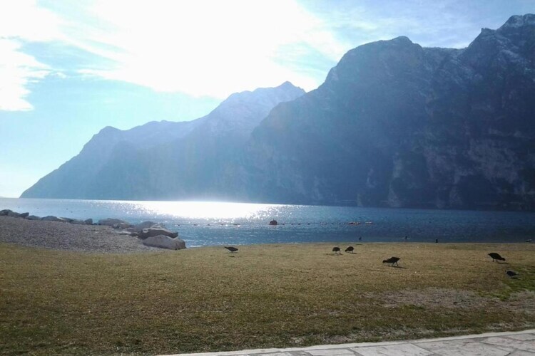 Maison 11 pers. Stenico, château médiéval et Dolomites - Photo 32