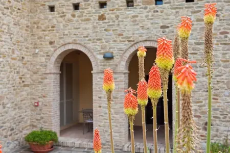 Calfattore, Villa à Belforte près du parc Sasso Simone - Photo 34