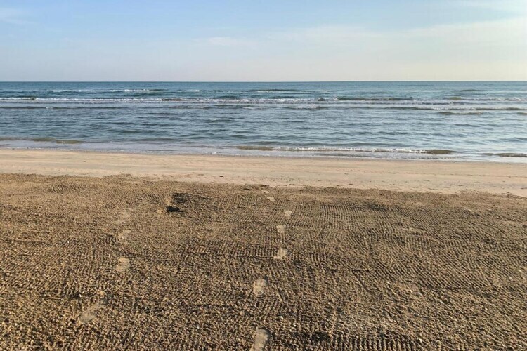 Maison Monti à Senigallia, 7 personnes avec jardin - Photo 27