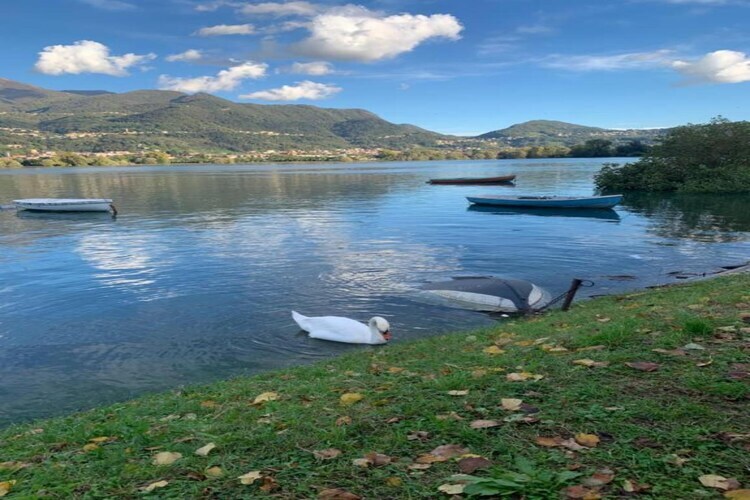 Villa Camelle à Fermignano, 8 personnes avec piscine - Photo 39