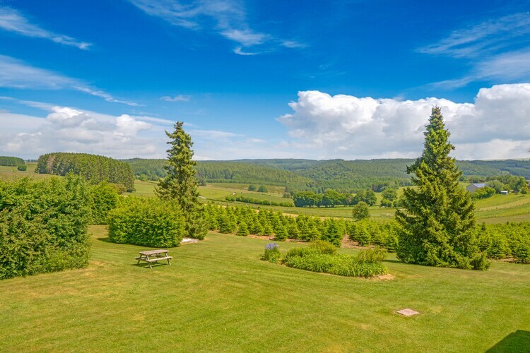 Charme des Chenets - Maison Gros-Fays vue forêt - Photo 31
