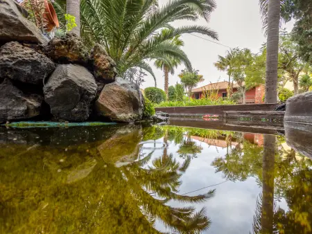 Villa Torrita, Location Maison 8 personnes à La Orotava - Photo 33