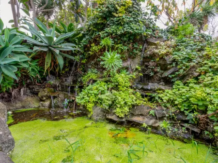 Villa Torrita, Location Maison 8 personnes à La Orotava - Photo 34