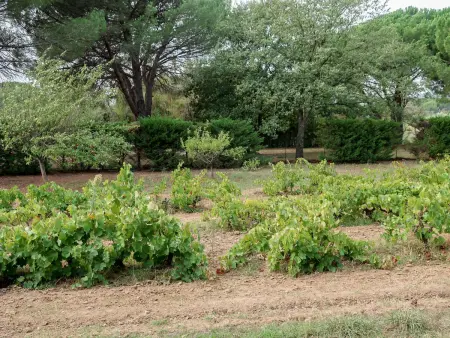 La Source, Maison 6 personnes à Grimaud - Photo 17