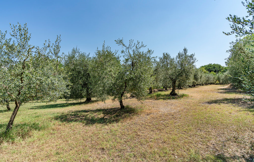 Casa Rivolta, Maison 11 personnes à Monte San Savino - Photo 13
