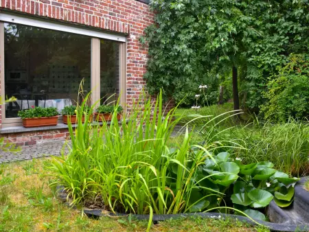 Maison Memories, 8 pers., étang privé au Bizet : photo 15