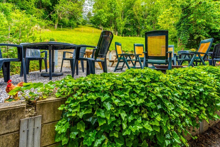Le Petit Château de Harzé – Gîte 15 pers., spa chauffé - Photo 32