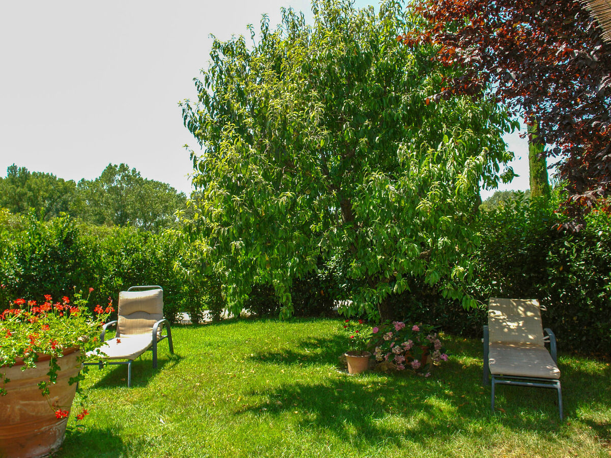 Podere Gioia – Gîte 12 pers. avec piscine à Castellina - Photo 58
