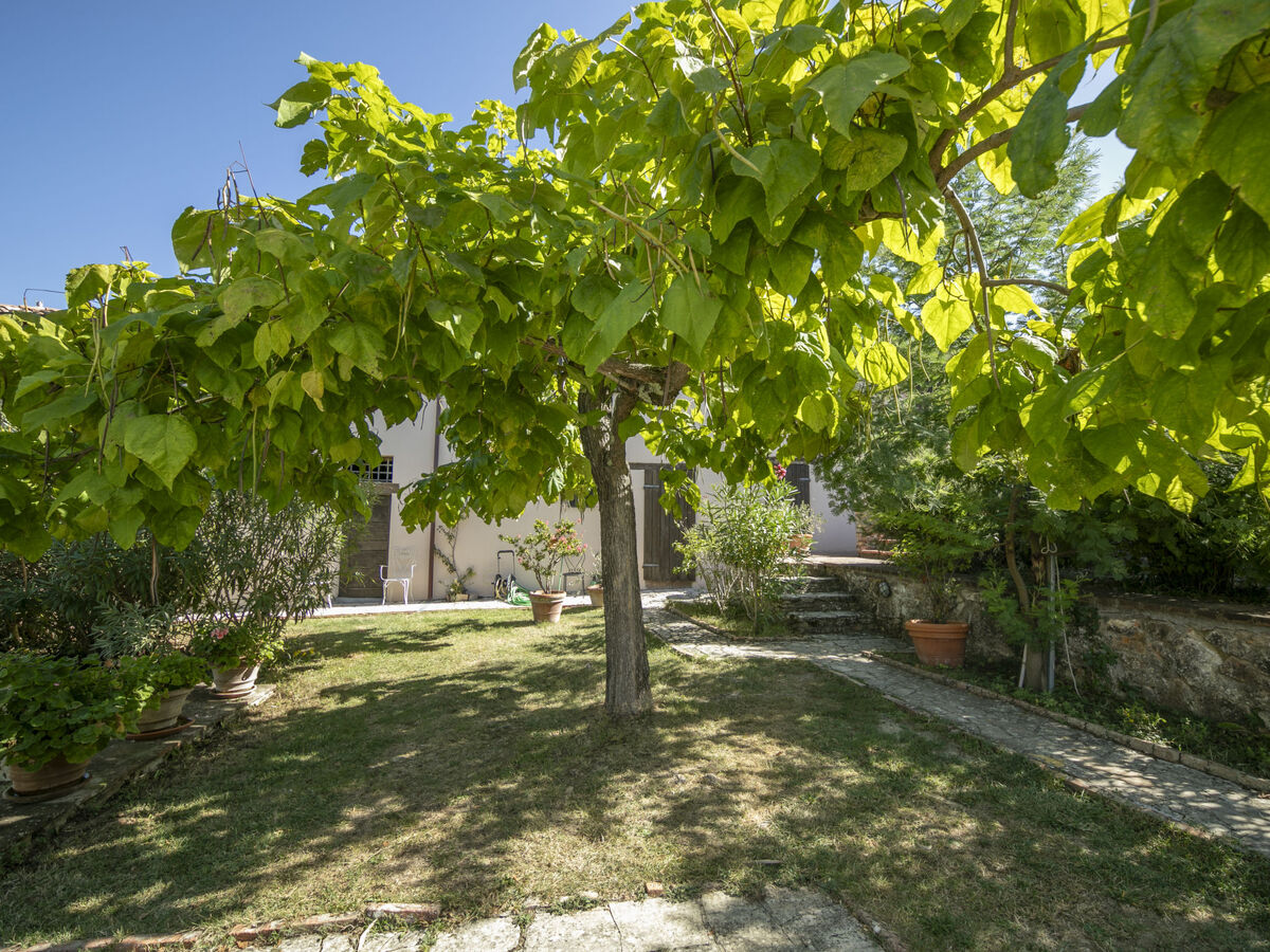Vedi Torre, gîte 10 pers. avec piscine à San Gimignano - Photo 55