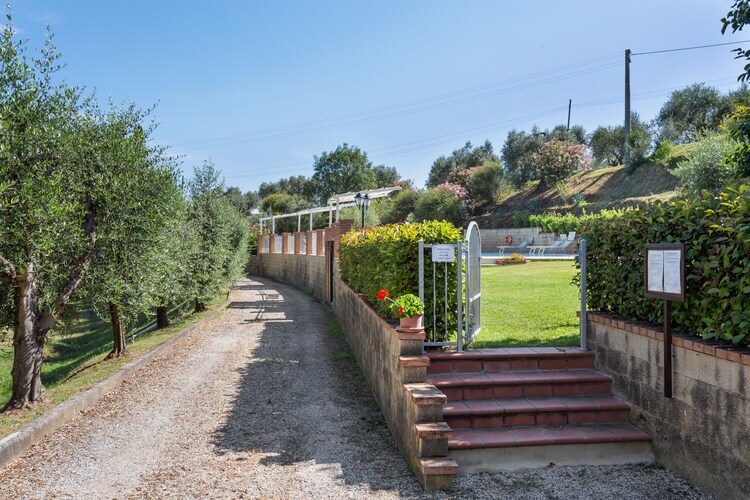 Maison Ulivo : piscine et jardin en Toscane - Photo 26
