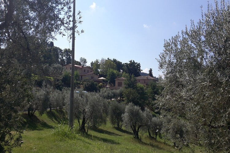 Maison Ulivo : piscine et jardin en Toscane - Photo 27