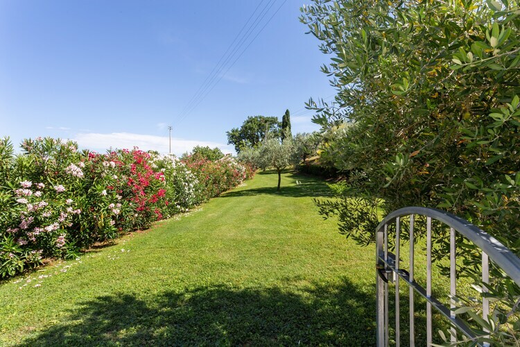 Maison Ulivo : piscine et jardin en Toscane - Photo 31