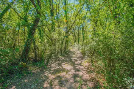 La Tartaruga – Maison 4 pers. près du lac Trasimeno : photo 32