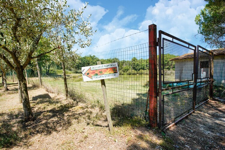 Maison La Rana à Castiglione del Lago, 4 pers. - Photo 27