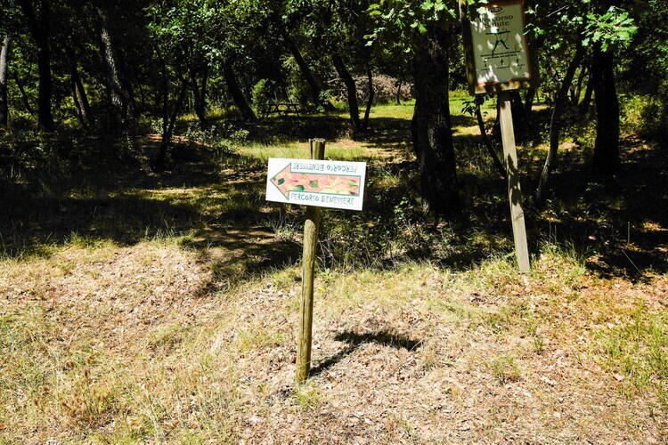 Maison La Rana à Castiglione del Lago, 4 pers. - Photo 28