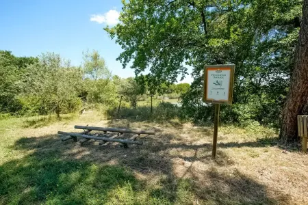Maison Il Gufo, 4 pers., lac Trasimeno à 8 km : photo 24