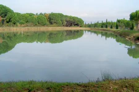 Maison Il Gufo, 4 pers., lac Trasimeno à 8 km : photo 37