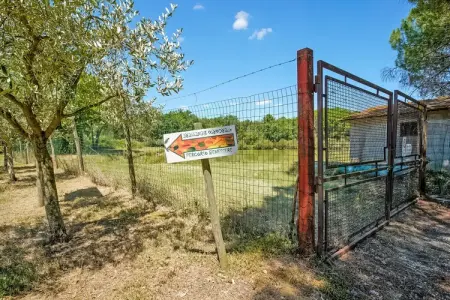 Maison Il Gufo, 4 pers., lac Trasimeno à 8 km : photo 38