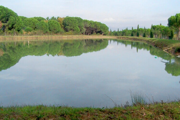 Appartamento lo Scoiattolo, maison 4 pers. près du Trasimeno - Photo 23