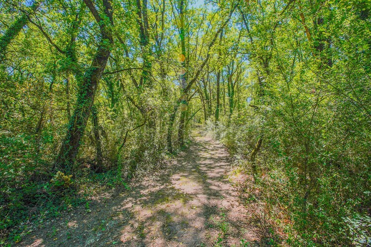 Appartamento lo Scoiattolo, maison 4 pers. près du Trasimeno - Photo 34