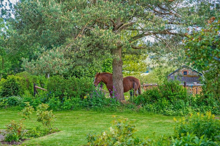 Les Hirondelles – Gîte 6 pers. à 500 m de la forêt - Photo 30
