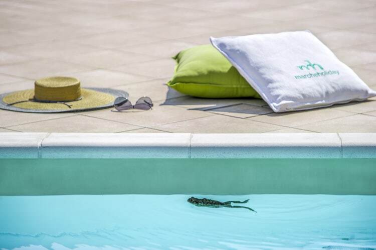 Calfattore Duca Federico, maison 10 pers. avec piscine - Photo 23