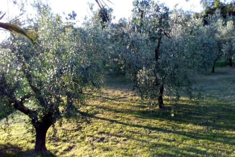 Villa Vanessa Coccinella à Fano, 2 chambres - Photo 35