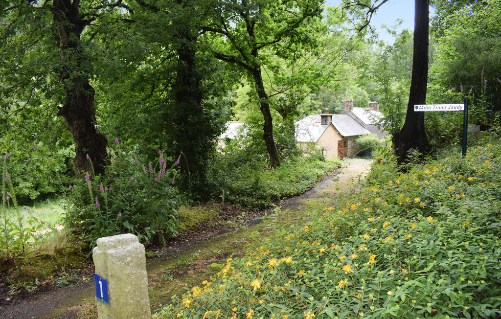 Ancien moulin à eau en Bretagne, vue rivière Jaudy - Photo 11