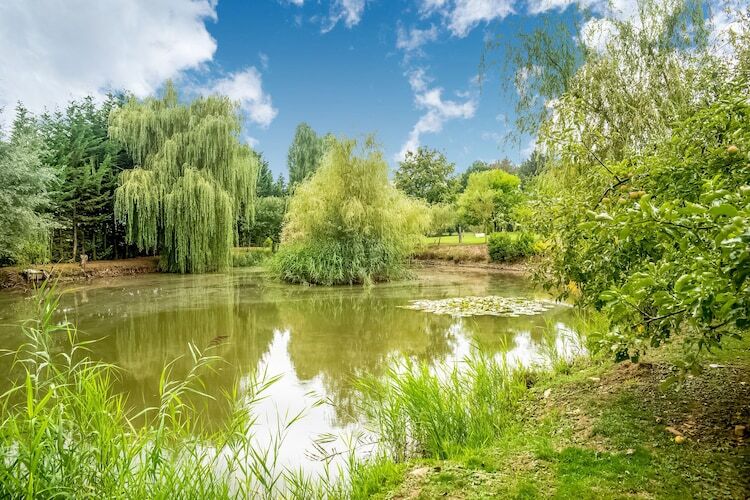 Gîte du Lac Privé à Florennes avec pêche et étangs - Photo 32