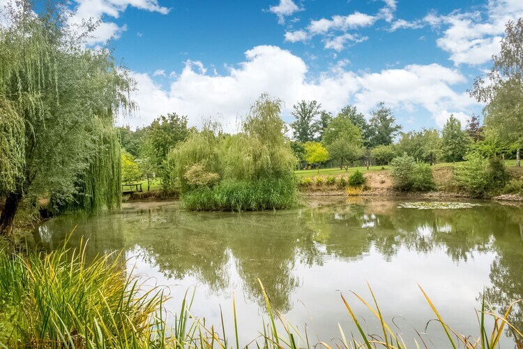 Gîte du Lac Privé à Florennes avec pêche et étangs - Photo 33