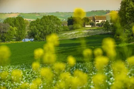 La Cantinaia Cova, Belle maison de vacances avec terrasse couverte - Photo 14