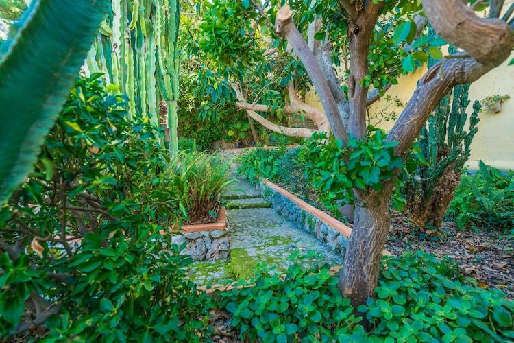 Villa Coste Can Moragues à Pollença, piscine et véranda - Photo 37