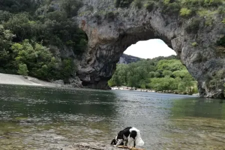 Studio Les Papillons avec piscine à Largentière : photo 31