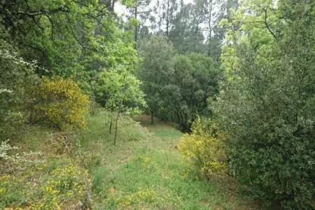 Studio Les Papillons avec piscine à Largentière : photo 36