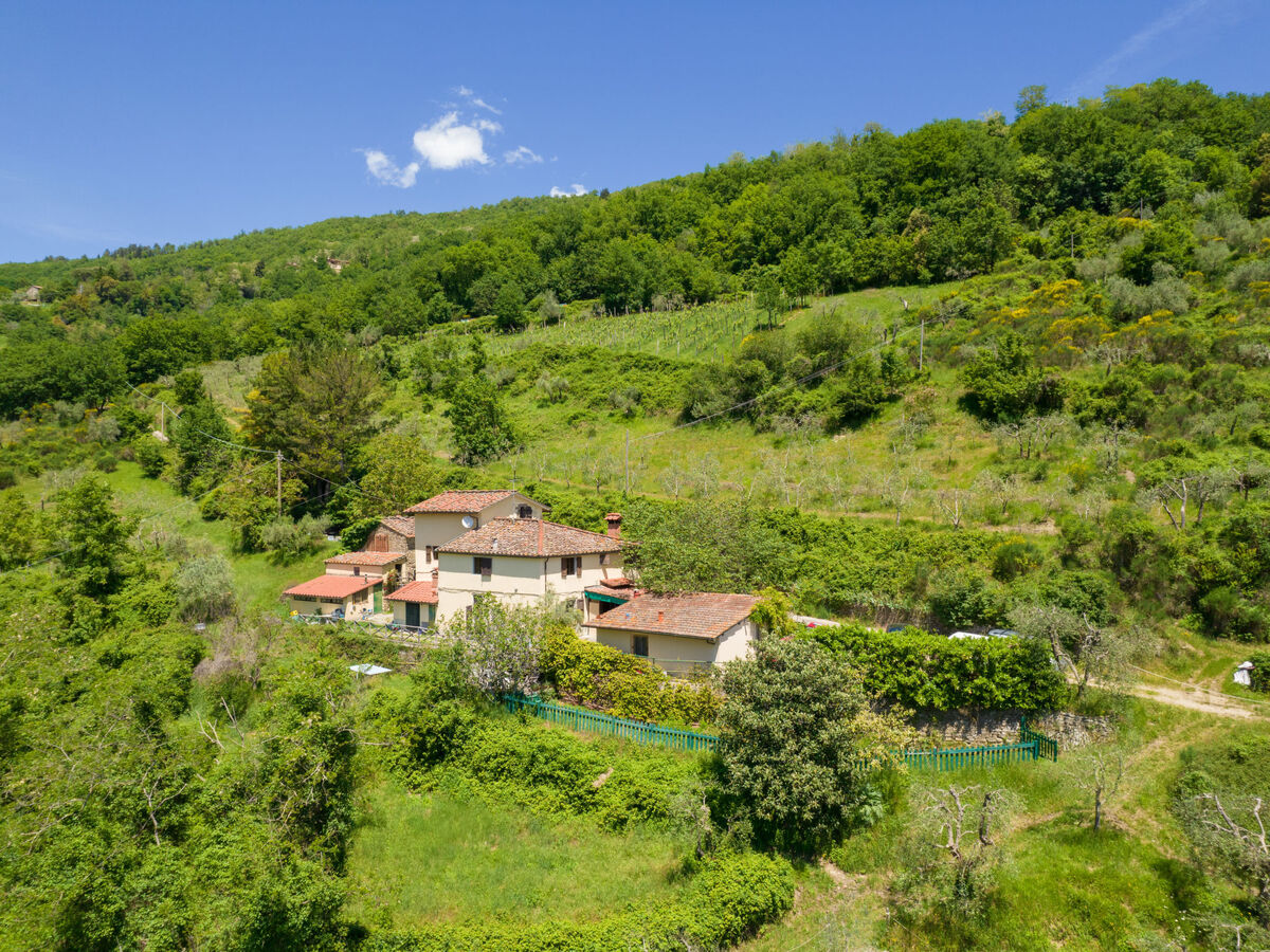 Il Castagneto – Gîte 6 pers. avec piscine à Rufina - Photo 6