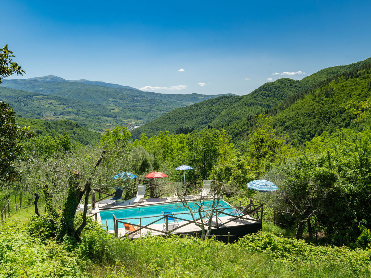 Il Castagneto – Gîte 6 pers. avec piscine à Rufina - Photo 7