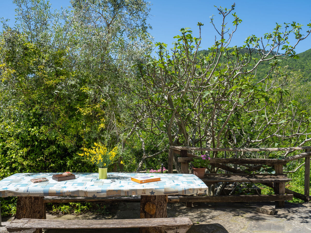 Il Castagneto – Gîte 6 pers. avec piscine à Rufina - Photo 30
