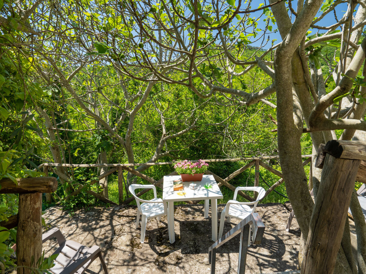 Il Castagneto – Gîte 6 pers. avec piscine à Rufina - Photo 33